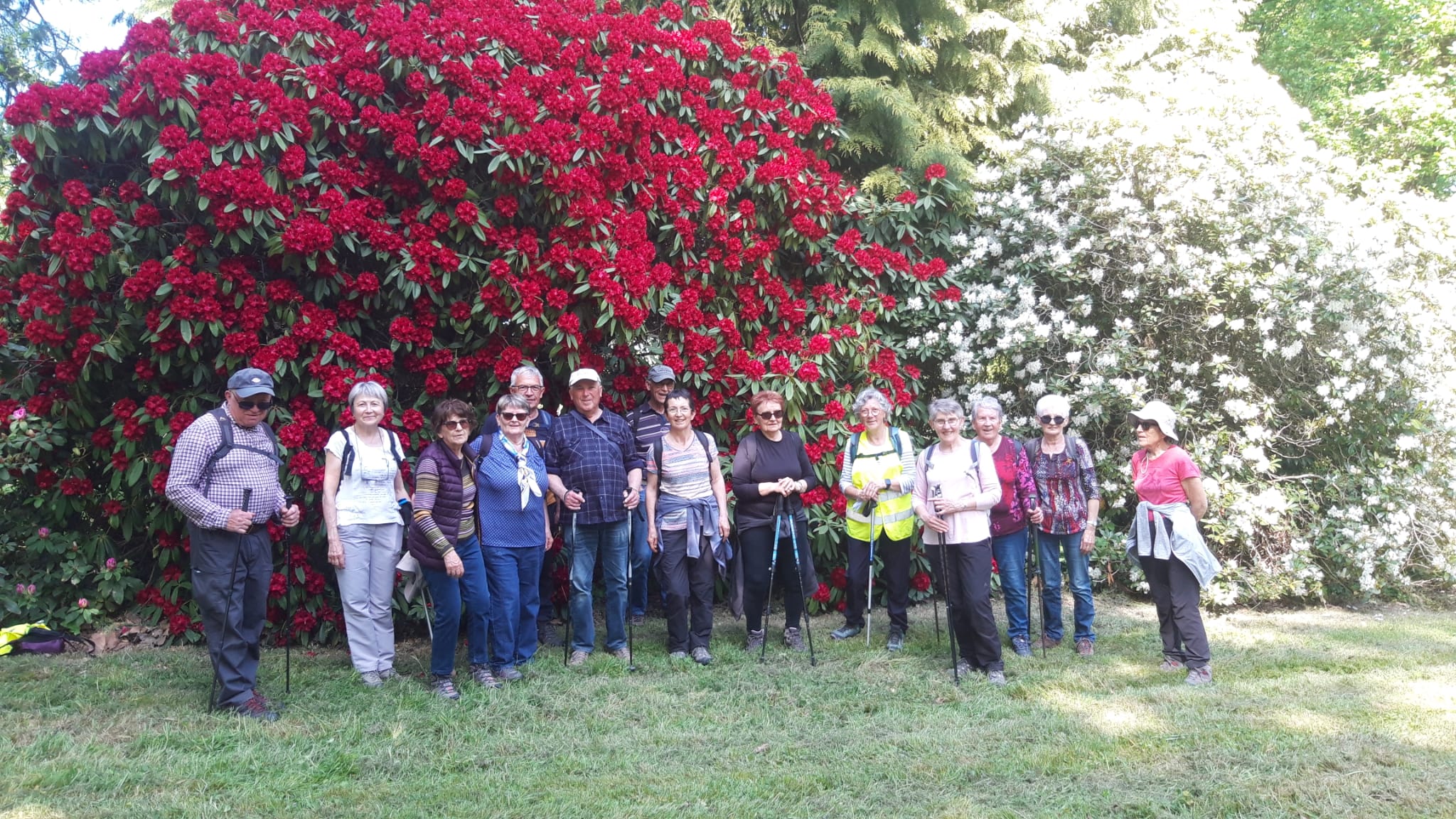 04avril rhodo