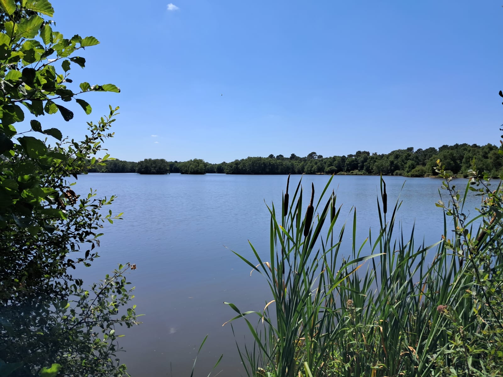 etang