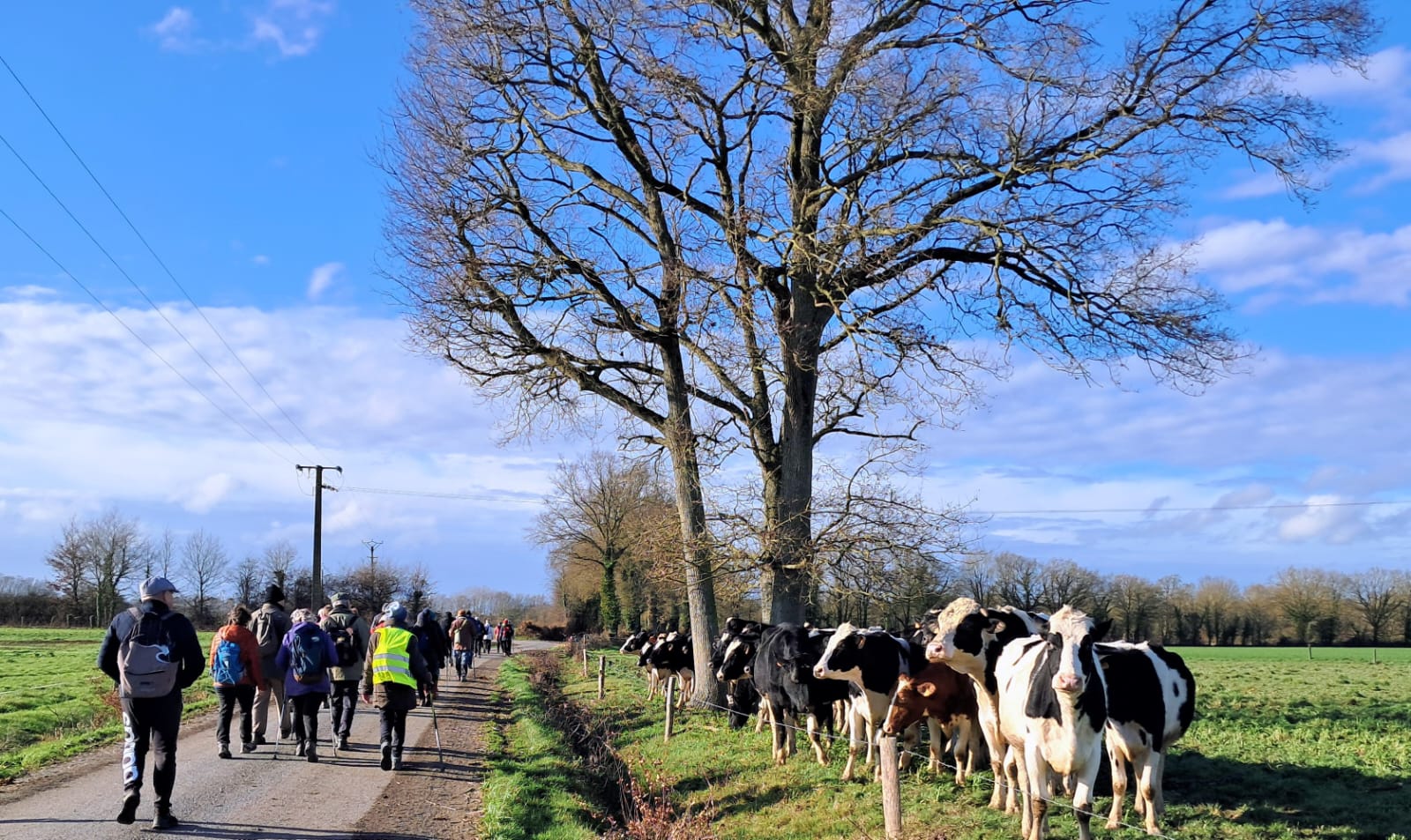 janvier vent treffieux2
